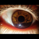 Illustration for article titled Shooting Challenge Eye Gallery 2